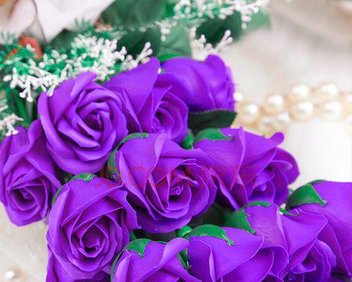 探究紫色玫瑰的意义（了解紫色玫瑰代表的情感和象征）