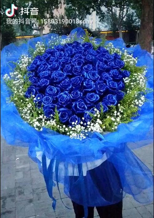 蓝色玫瑰的花语（探寻蓝色玫瑰的美丽寓意）