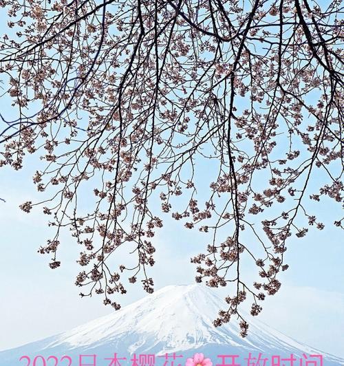 日本樱花开花时间（春日樱花盛宴，赏花美景尽收眼底）