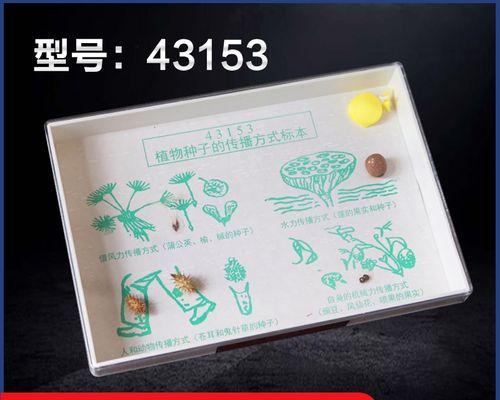 植物传播的多种方法（从根茎到种子，你需要知道的植物繁殖方式）