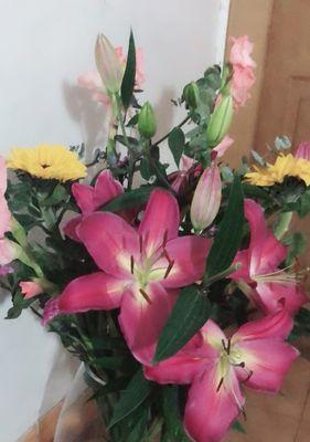 粉色百合花的象征意义（探索粉色百合花的深刻内涵）