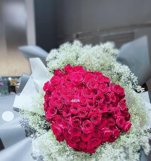大连市的花——月季花（大连市花的寓意与文化）