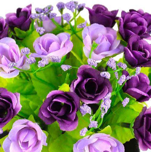 紫色玫瑰花的寓意（探索紫色玫瑰花背后的深层含义）