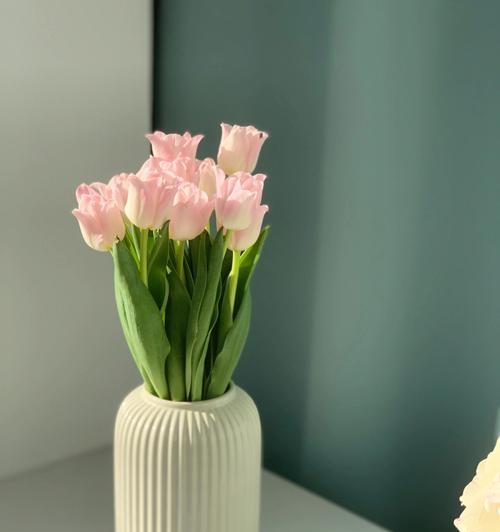 郁金香的室内养护技巧（让你的家更美丽、更舒适的花朵）
