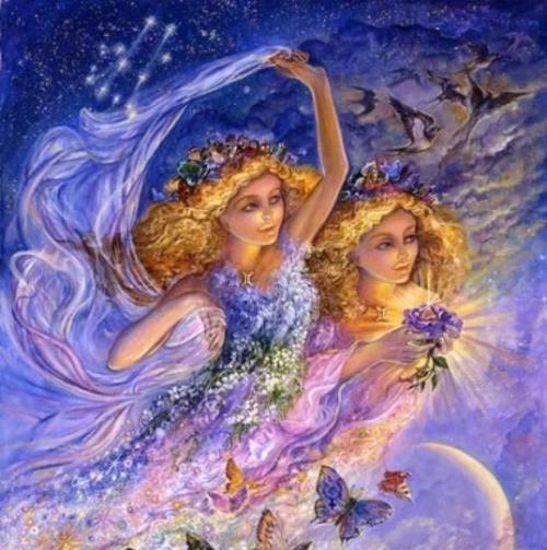 十二星座代表的花卉奇妙世界（花开花落，星座与花之间的美妙邂逅）