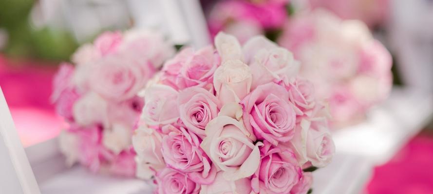 粉色玫瑰的象征意义（探寻粉色玫瑰的情感表达及文化内涵）