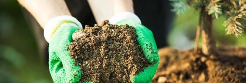 自制有机肥料，让家庭菜园更健康（DIY有机肥料，土壤质量升级）