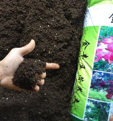 自制有机肥料，让家庭菜园更健康（DIY有机肥料，土壤质量升级）