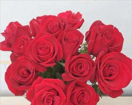 六朵玫瑰花的寓意（解析鲜花语言，明白玫瑰的六种含义）