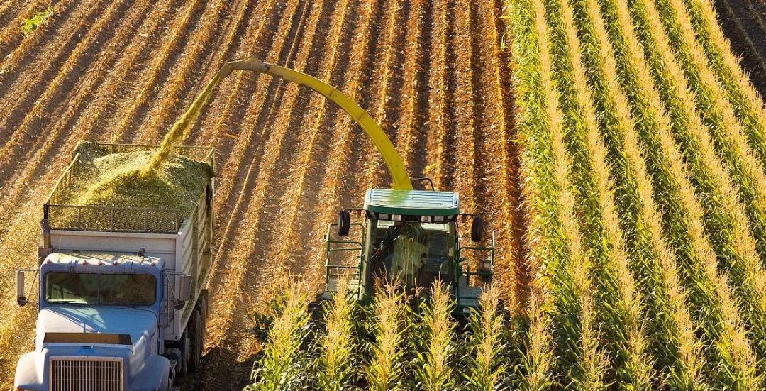 玉米种植技术与管理（、环保、稳产）