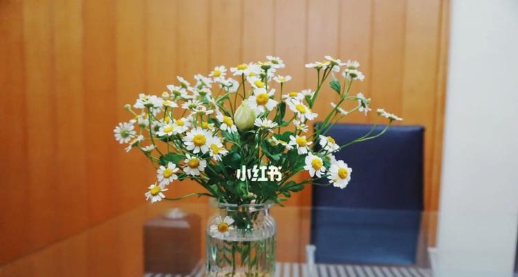 雏菊花的意义和象征（探寻雏菊花的寓意与文化价值）