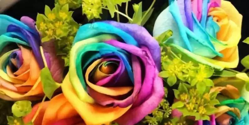 友谊的花园（探寻友谊中绽放的鲜花）
