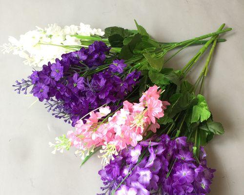 淡紫色风信子花语（用淡紫色风信子传递爱意和美好祝愿的花语）