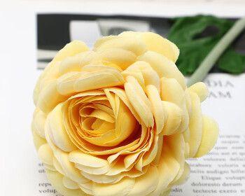 黄玫瑰花的意义和象征（探索黄玫瑰花的深层含义与寓意）