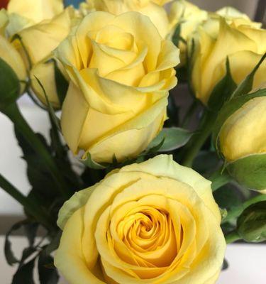 黄玫瑰花的代表寓意（传达温暖和友谊的黄玫瑰花）