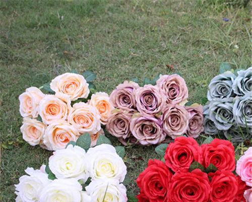 九朵玫瑰花的象征意义（探寻九朵玫瑰花所代表的情感和寓意）