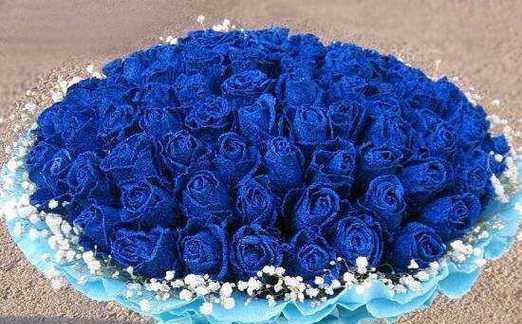 以蓝玫瑰代表的神秘与温柔（探索蓝玫瑰的象征意义及独特魅力）