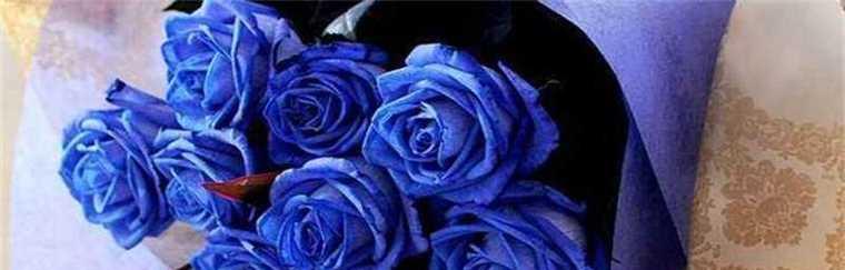 以蓝玫瑰的含义——爱的追求（独特之美）