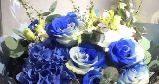 蓝玫瑰的含义与神秘之美（探索蓝玫瑰的象征意义及其独特魅力）