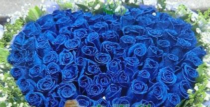 蓝玫瑰的花语与意义（深邃神秘）