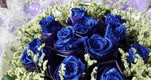 蓝玫瑰的花语及其意义（探索蓝玫瑰背后的秘密花语）