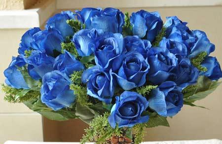 蓝色玫瑰的象征意义及美丽之谜（以蓝色玫瑰传达感情的力量和神秘的吸引力）