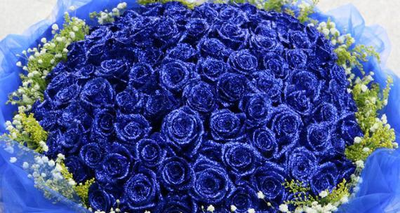 蓝色玫瑰花语的美丽寓意（蓝色玫瑰）