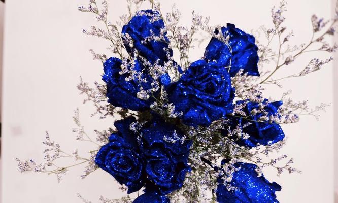 蓝色玫瑰花语（以蓝色玫瑰传递的情感）