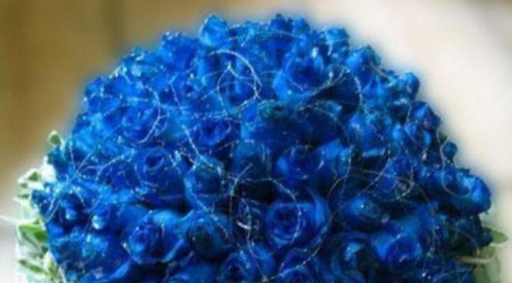 蓝色妖姬的寓意与花语（解读蓝色妖姬的象征意义及鲜花语言）