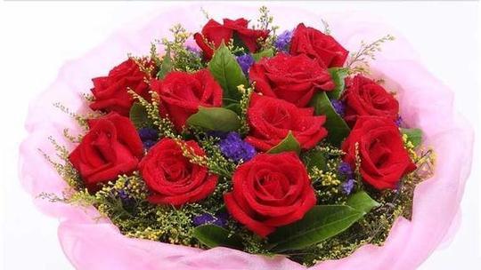 18朵玫瑰花的寓意及花语（18朵玫瑰花的花语和象征意义）