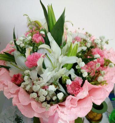 康乃馨的19种意义——一朵花的多重象征（康乃馨——爱）