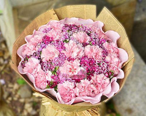 康乃馨的19种意义——一朵花的多重象征（康乃馨——爱）