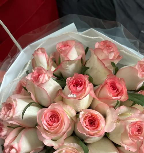 爱莎玫瑰花语和寓意（探索爱莎玫瑰花的深层含义和象征意义）
