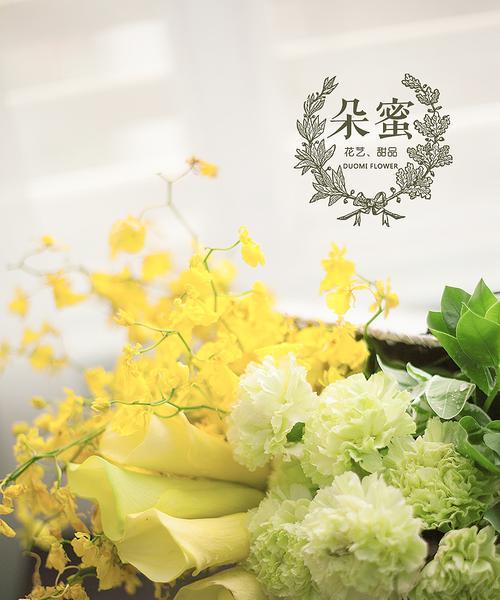 跳舞兰的花语之美——一朵花的多彩舞姿（探索跳舞兰的花语）