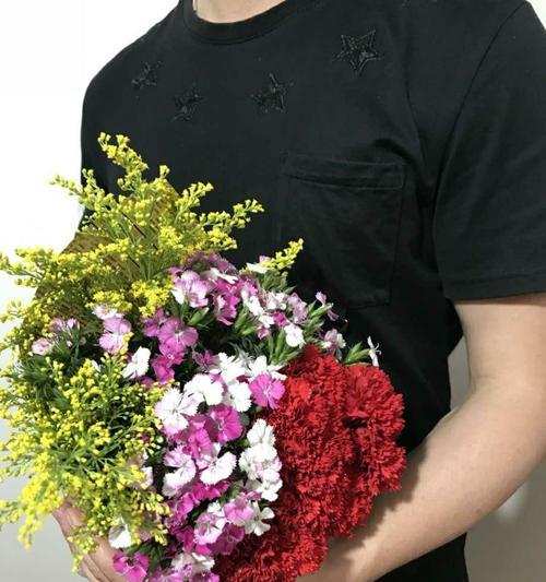 相思梅的花语与意义（以相思梅的花语为窗口）