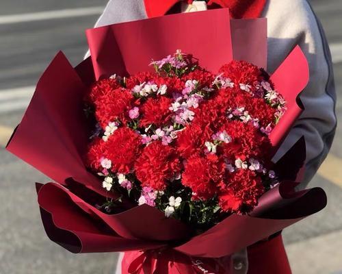相思梅的花语与意义（以相思梅的花语为窗口）