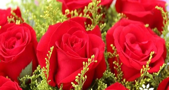 无忧花的花语与典故（用花语传递快乐与守护）