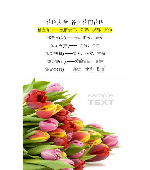 向日葵的花语与代表意义（向日葵）