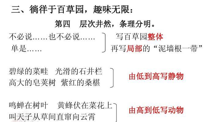 百日草叶子卷曲原因与处理方法（百日草叶子卷曲的症状及对植株的影响）