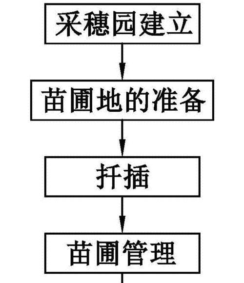如何通过扦插繁殖培育健康的柏树（柏树扦插的时间）