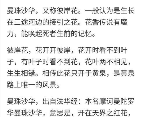 彼岸花（绽放于秋日的奇迹）