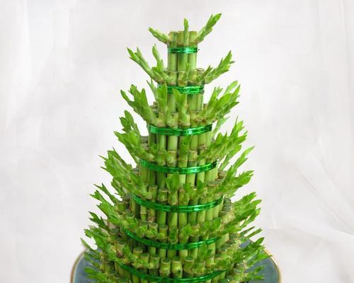 富贵竹的寓意、风水象征及摆放禁忌（招财进宝的富贵竹与家居风水）