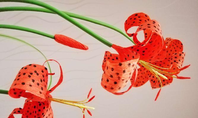 虎皮百合花语（赏花如赏虎）