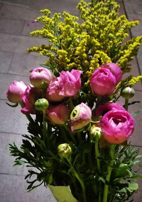 花开如梦，花毛茛花语解读（用花毛茛花语诠释爱情与希望）