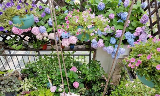 北向露台花卉种植指南（打造绿色阳台）