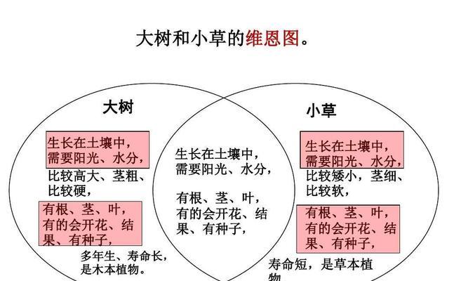 车厘子的生长环境与生长地点条件（探究车厘子生长的地理环境与种植条件）