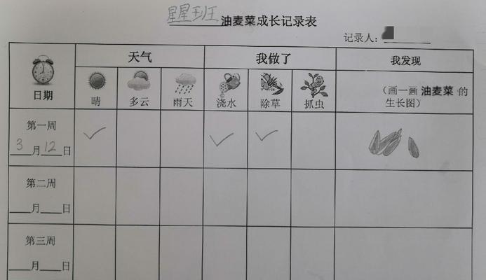 如何收集并储存车前草种子（掌握正确方法）