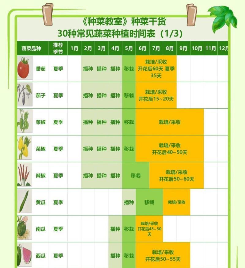 掌握种植赤豆的技巧，助你收获丰硕（掌握种植赤豆的技巧）