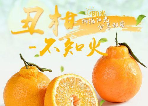 揭秘丑柑上市时间（丑柑成熟期）