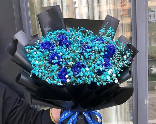 玫瑰花的花语与代表意义（浪漫之花的背后情愫-玫瑰花花语及其寓意）